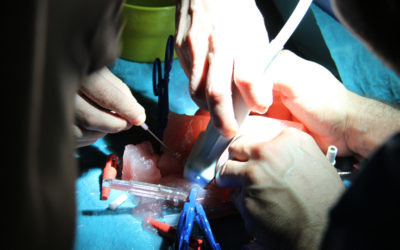 Corso ECMO 14-15-16 Giugno 2018